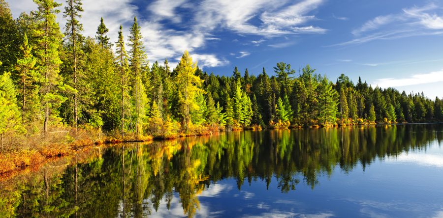 What Is Evergreen? The Core Value of PURPOSE