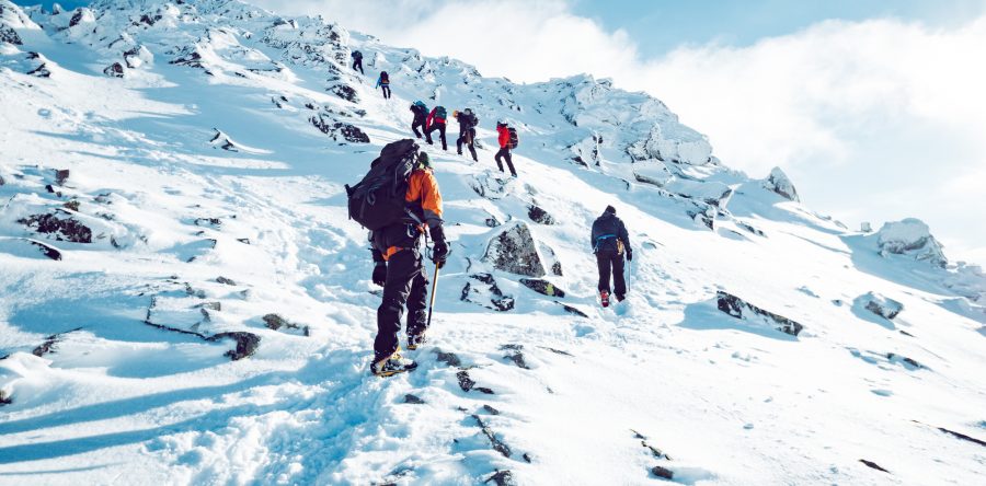 What Is Evergreen? The Core Value of PERSEVERANCE